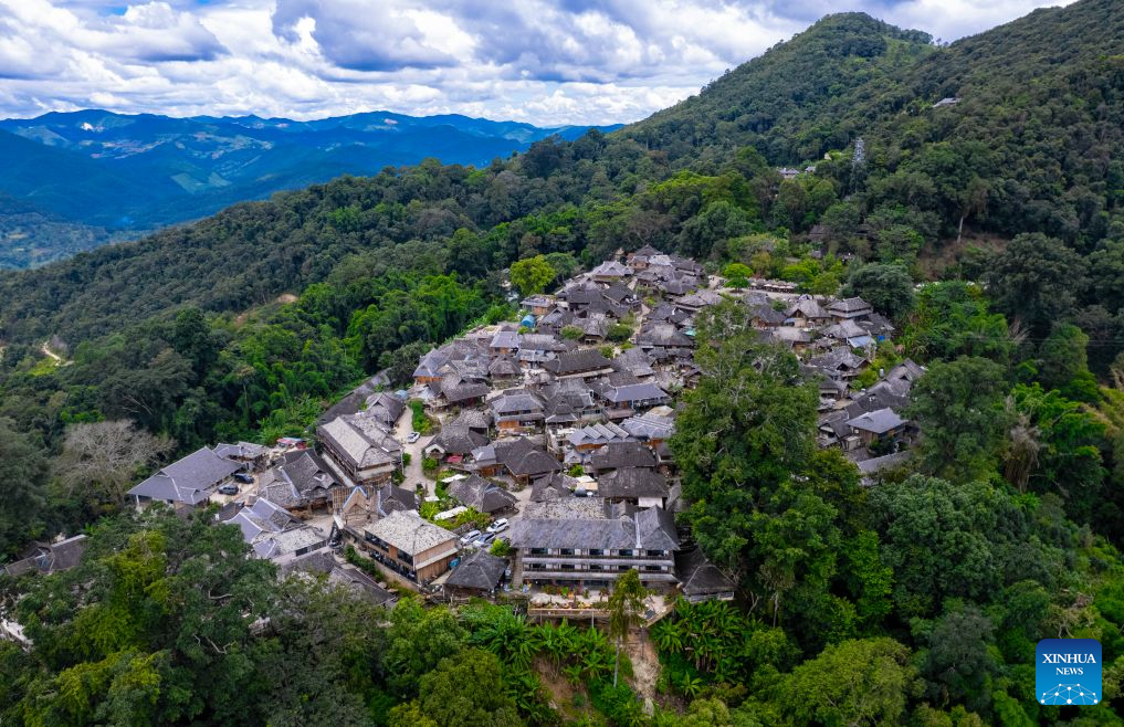 Jingmai Mountain in China's Yunnan draws tourists with tea culture