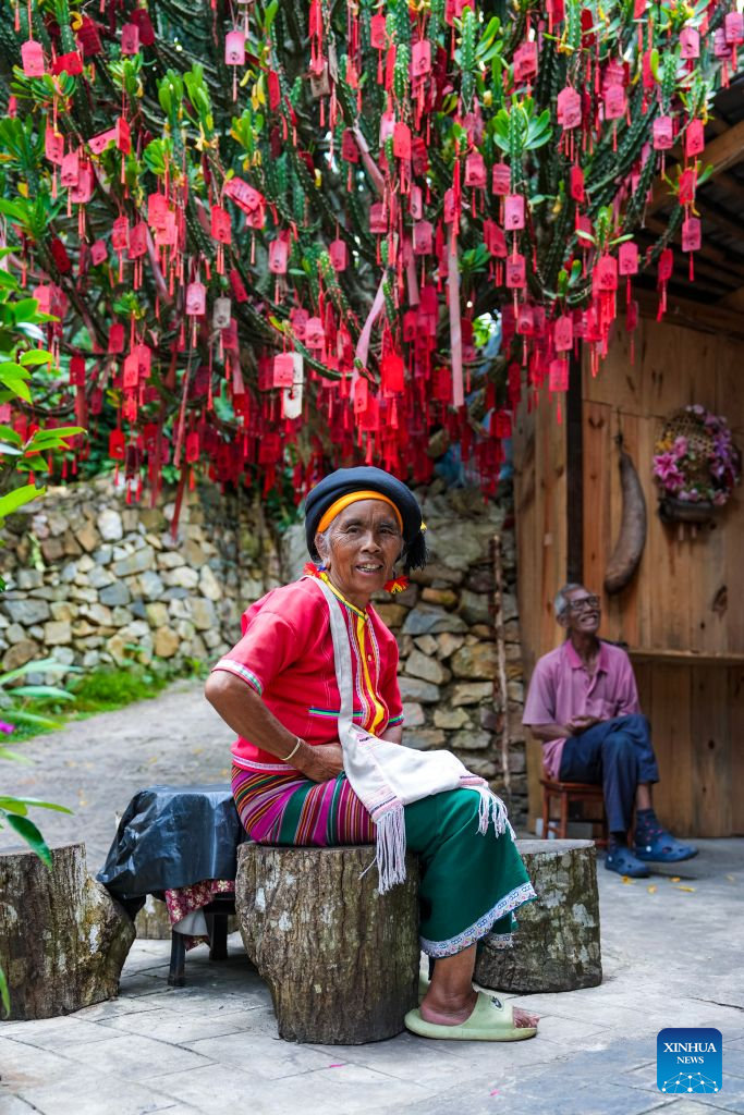 Jingmai Mountain in China's Yunnan draws tourists with tea culture