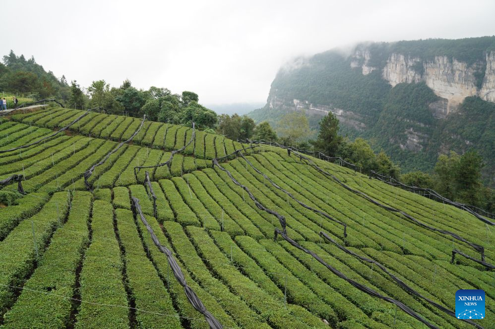 Transport upgrades bringing China's mountain riches to the world