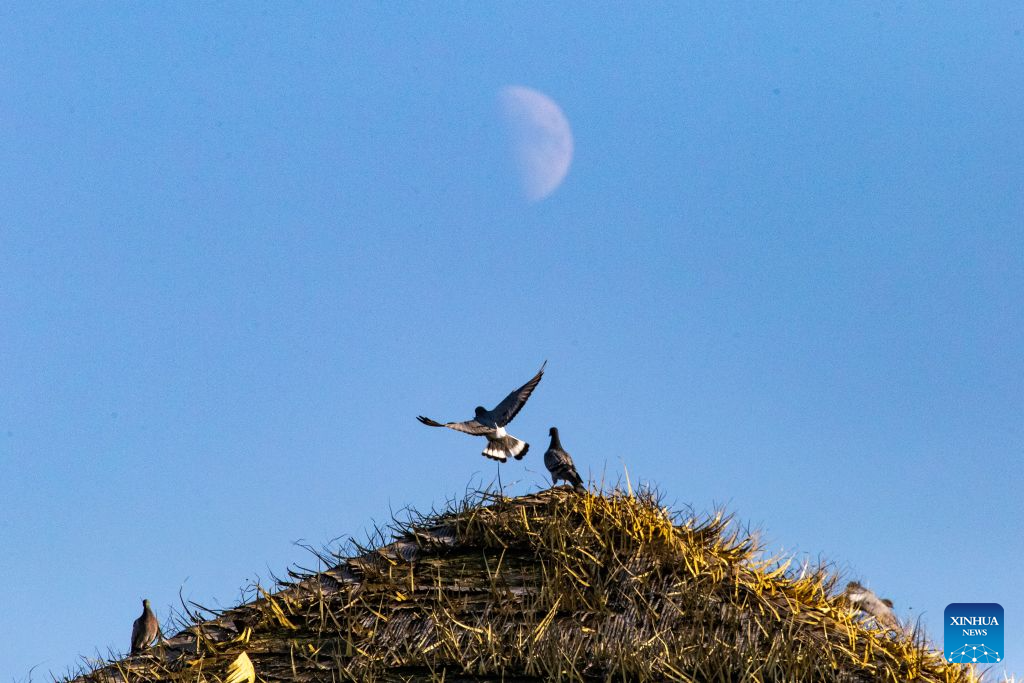 View of first quarter moon across China