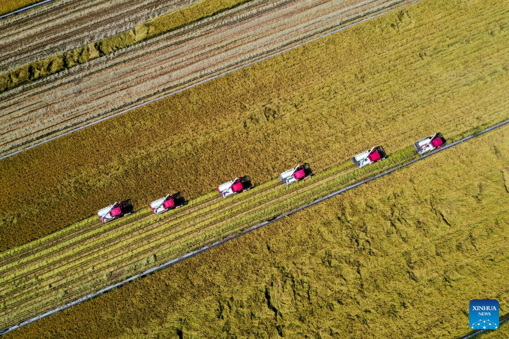 Chinese farmers' harvest festival marked across China