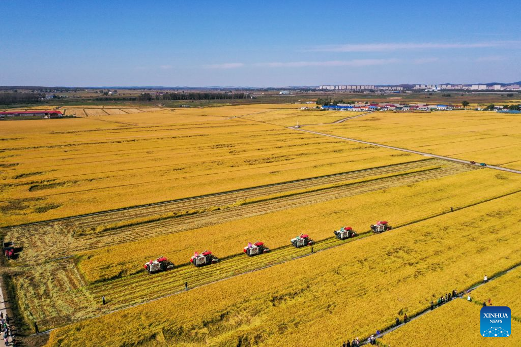Chinese farmers' harvest festival marked across China