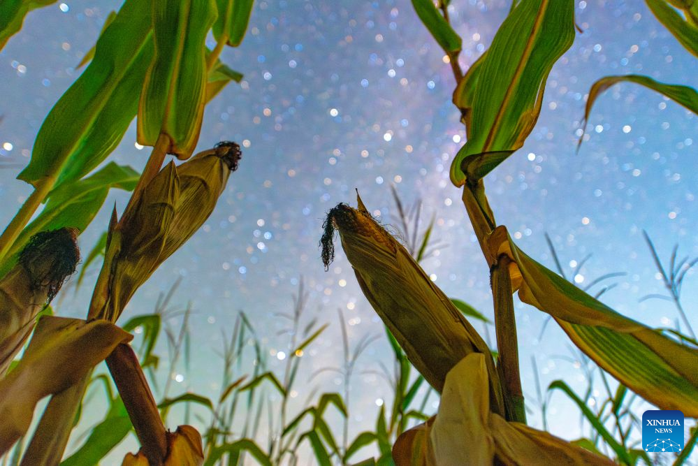 In pics: fields under starry sky in China's Heilongjiang