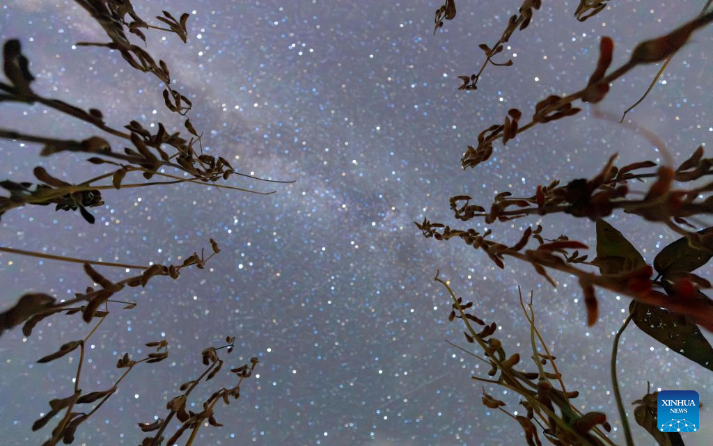 In pics: fields under starry sky in China's Heilongjiang