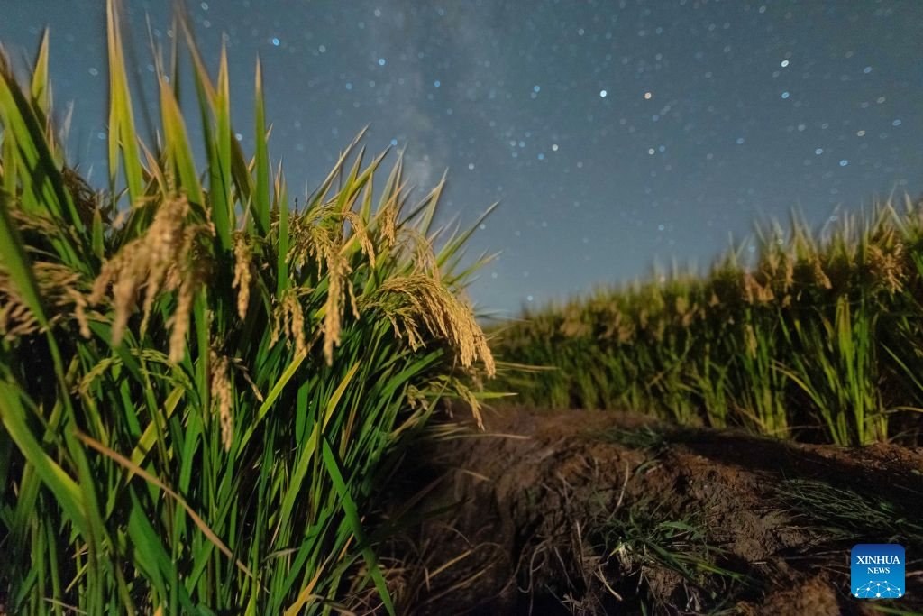 In pics: fields under starry sky in China's Heilongjiang