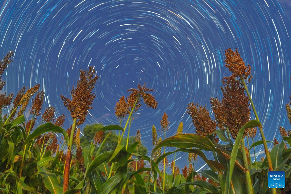 In pics: fields under starry sky in China's Heilongjiang