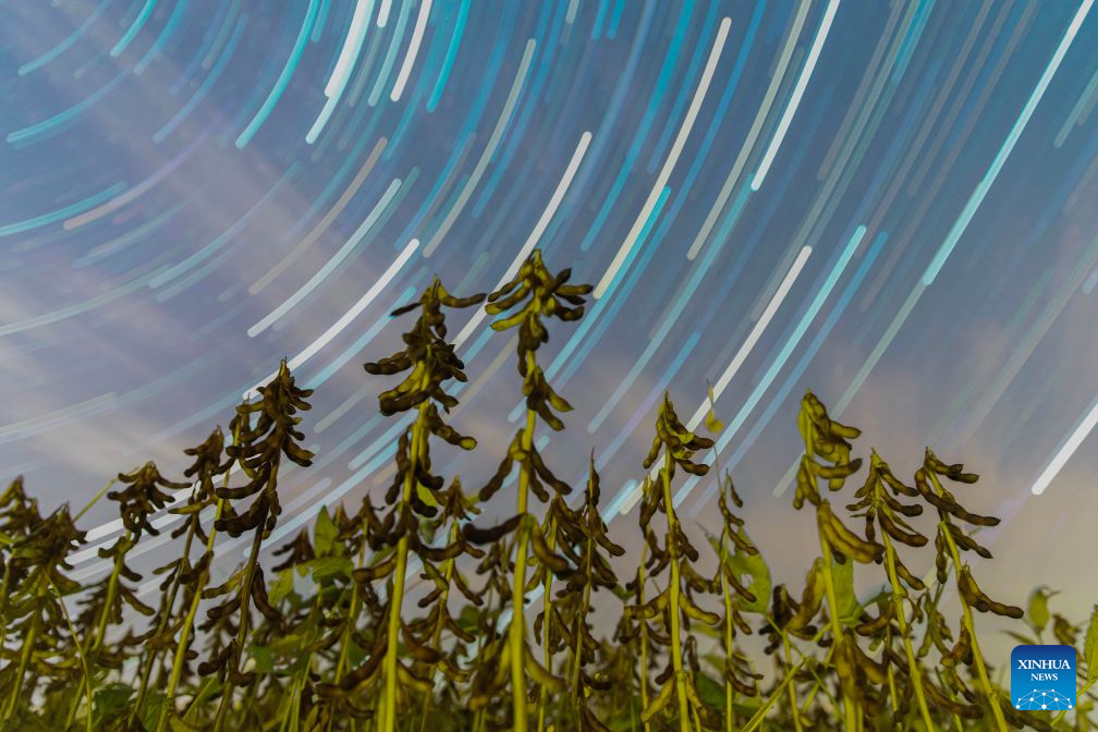In pics: fields under starry sky in China's Heilongjiang