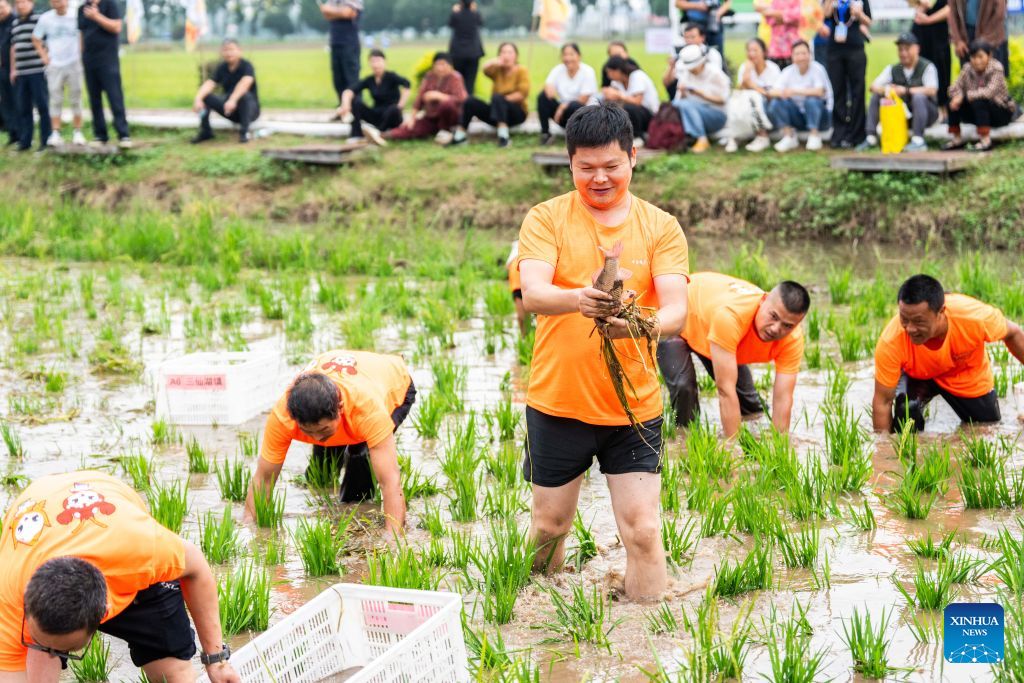 Chinese farmers' harvest festival marked across China