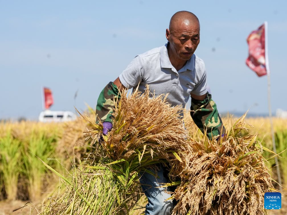 Chinese farmers' harvest festival marked across China