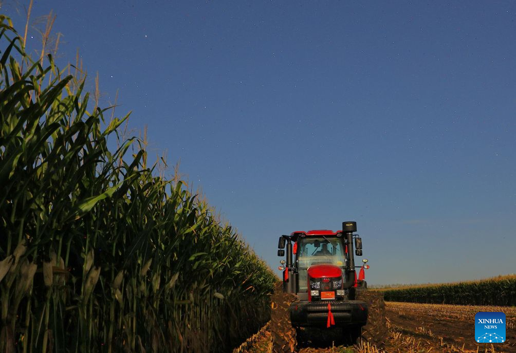 In pics: fields under starry sky in China's Heilongjiang