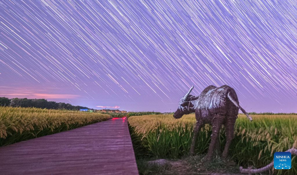 In pics: fields under starry sky in China's Heilongjiang