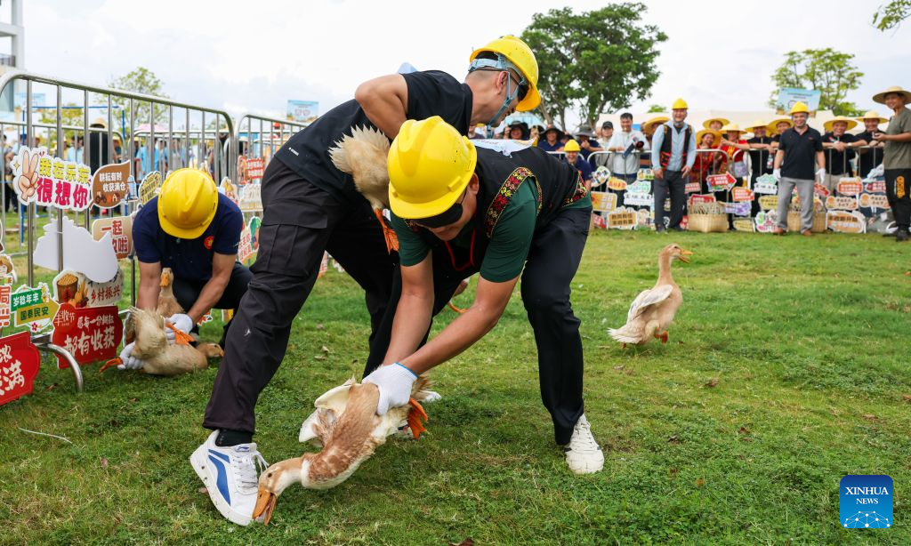 Chinese farmers' harvest festival marked across China