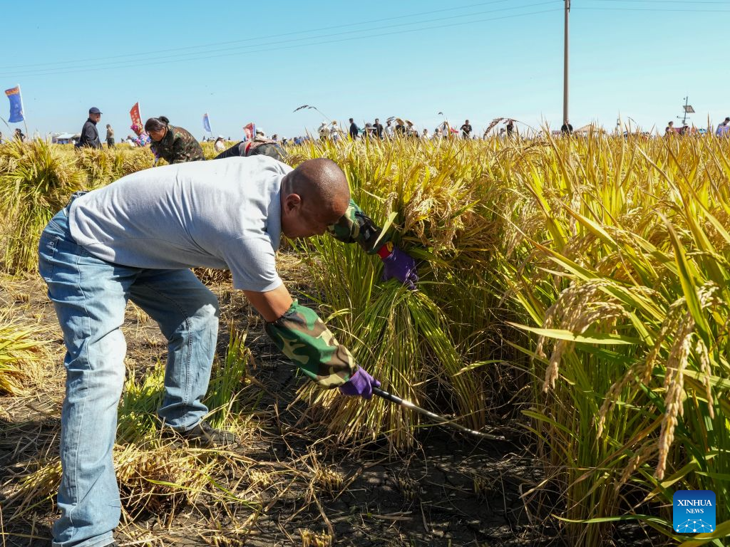 Chinese farmers' harvest festival marked across China