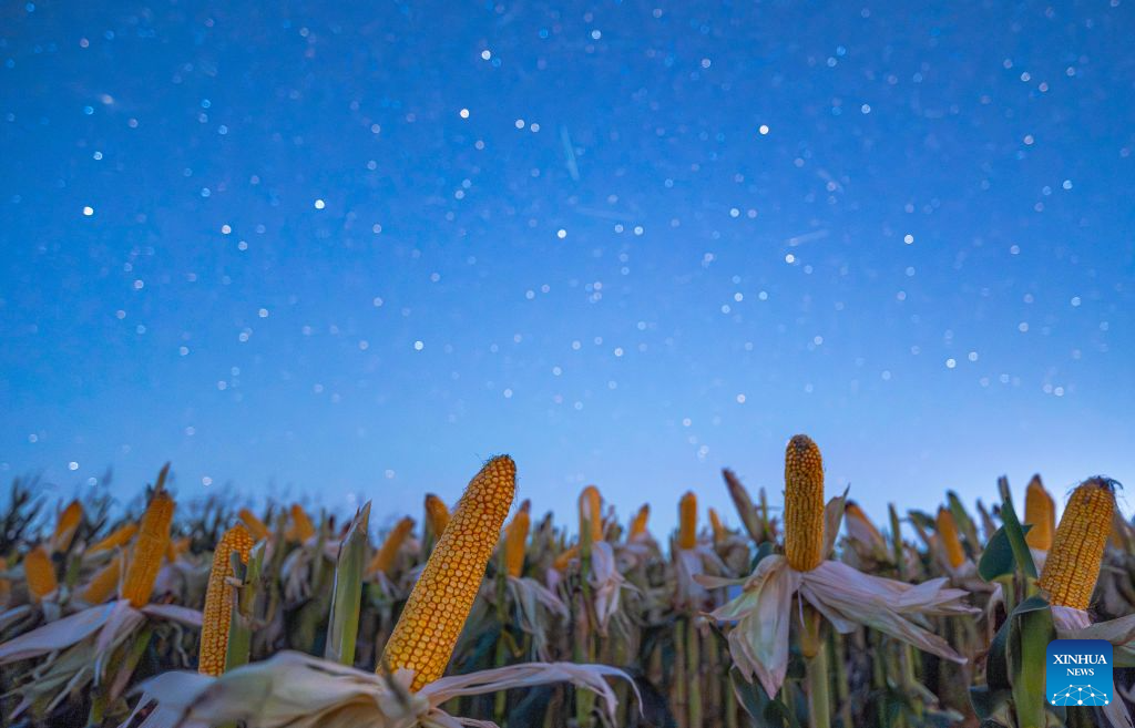 In pics: fields under starry sky in China's Heilongjiang
