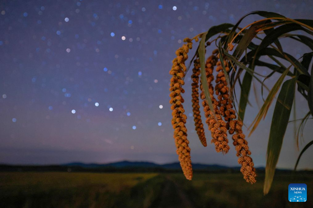 In pics: fields under starry sky in China's Heilongjiang