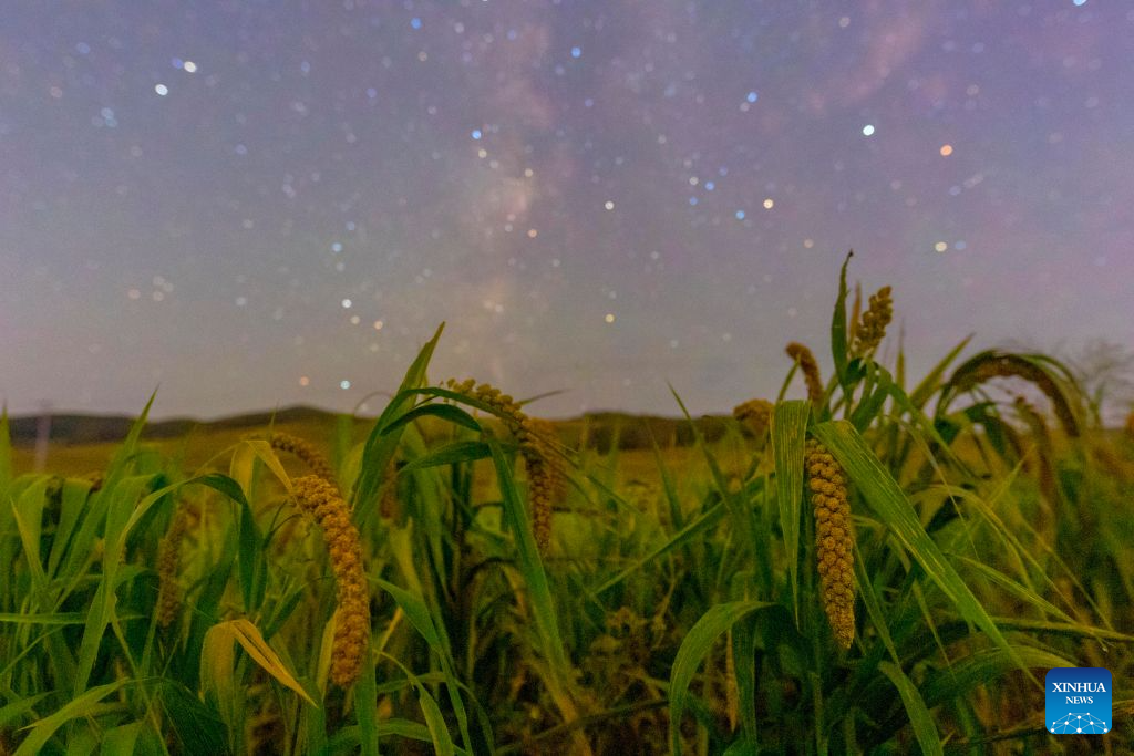 In pics: fields under starry sky in China's Heilongjiang