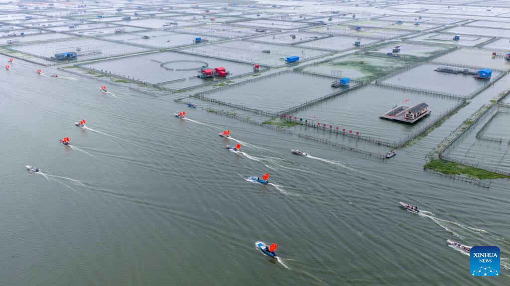 Freshwater crabs enter harvest season in Yangcheng Lake, China's Jiangsu
