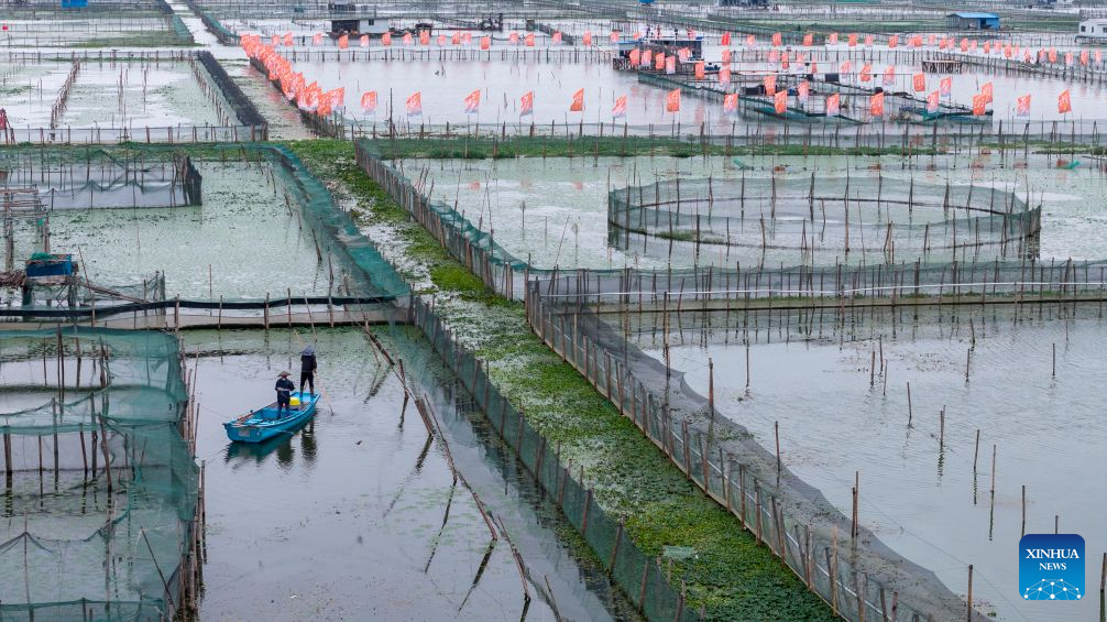 Freshwater crabs enter harvest season in Yangcheng Lake, China's Jiangsu
