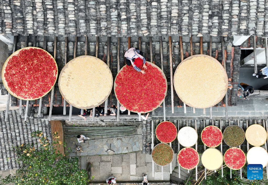 Tourism boom fueled by rural tradition Shaiqiu brings new life to villager in Jiangxi