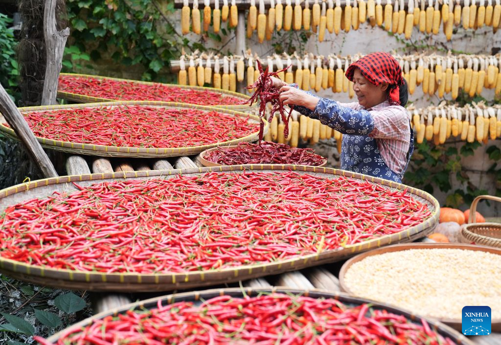 Tourism boom fueled by rural tradition Shaiqiu brings new life to villager in Jiangxi