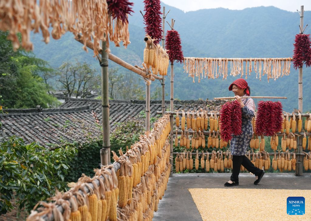 Tourism boom fueled by rural tradition Shaiqiu brings new life to villager in Jiangxi