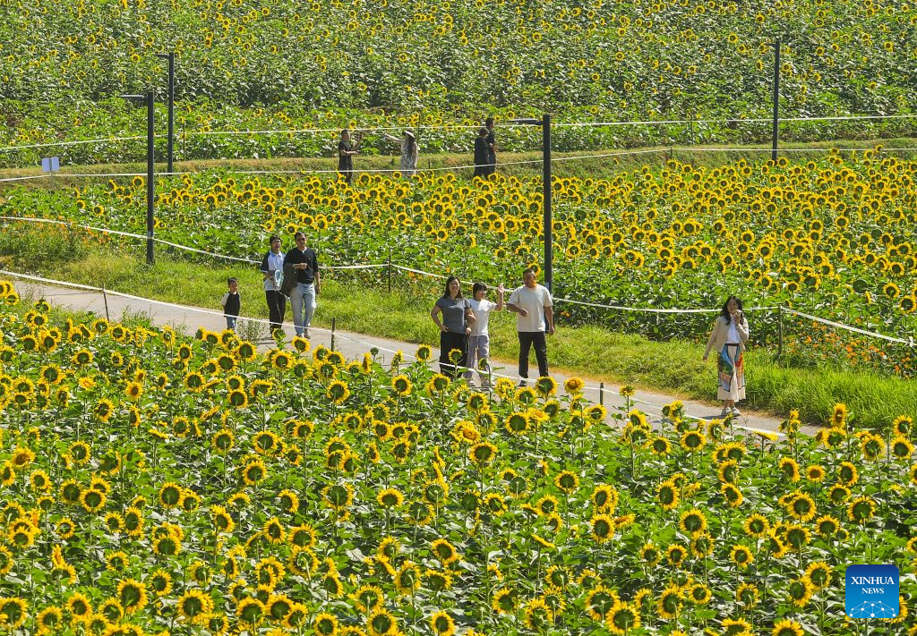 National Day holiday sees cultural, tourism boom across China