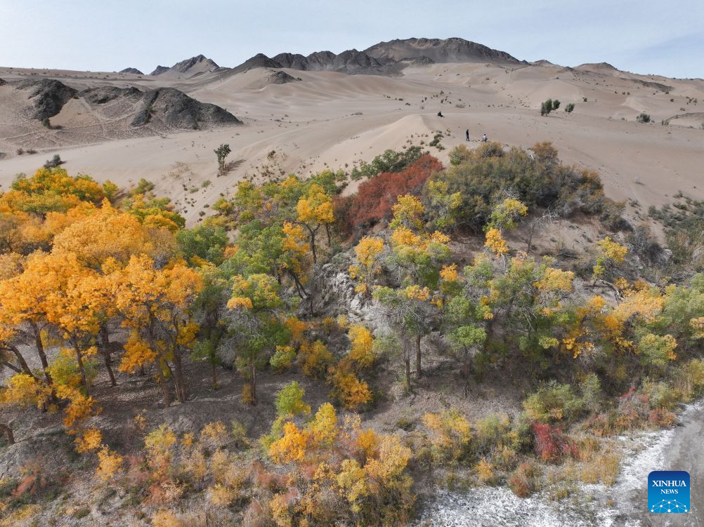 Autumn view of Huyangxia scenic spot in China's Gansu