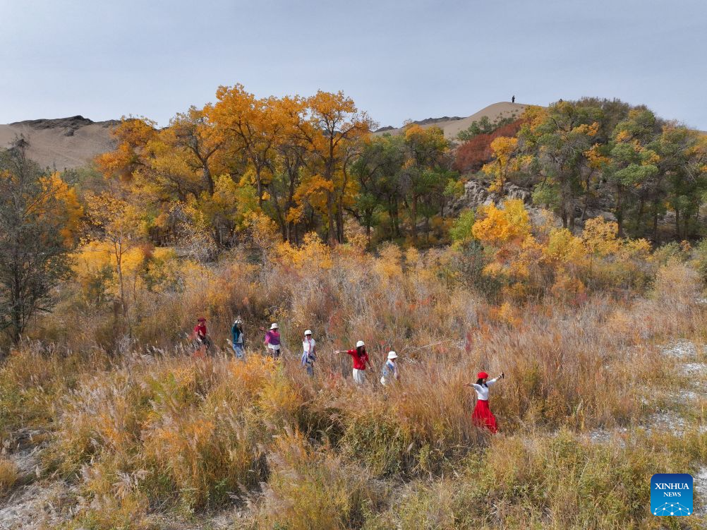 Autumn view of Huyangxia scenic spot in China's Gansu