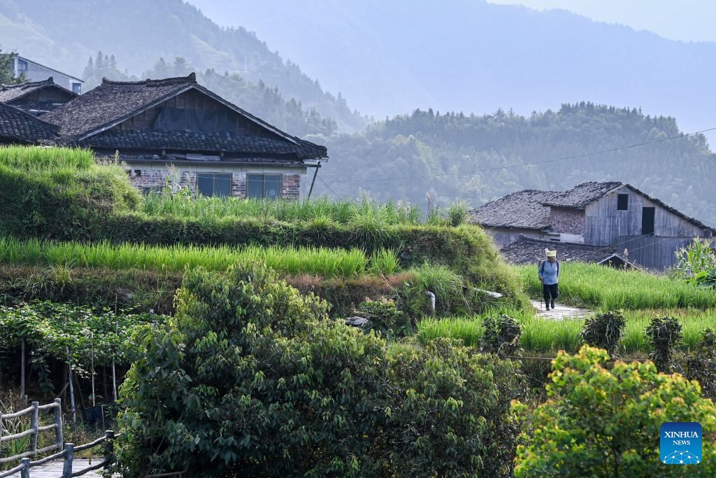 Foreign visitors flock to Longji to experience traditional Chinese rural life