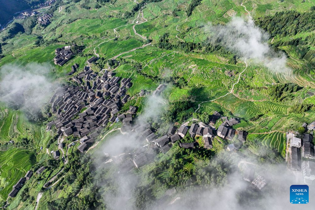 Foreign visitors flock to Longji to experience traditional Chinese rural life