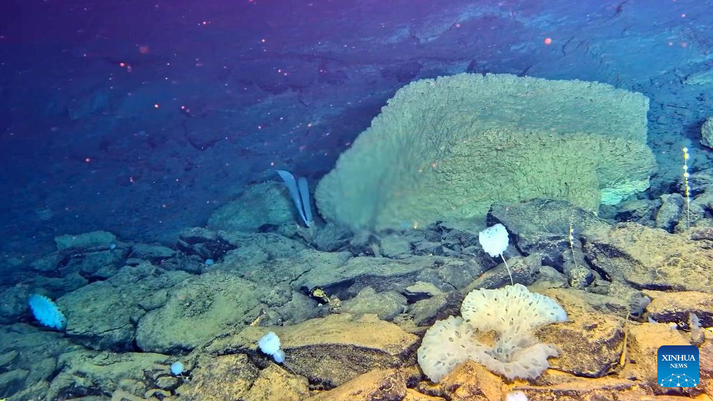 China's manned deep-sea submersible completes 467th dive