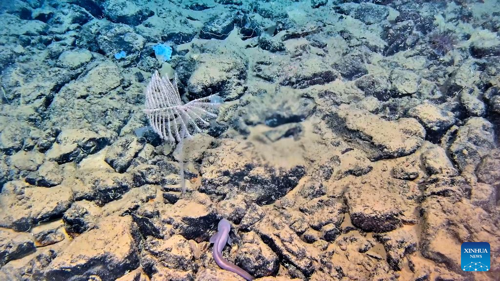 China's manned deep-sea submersible completes 467th dive