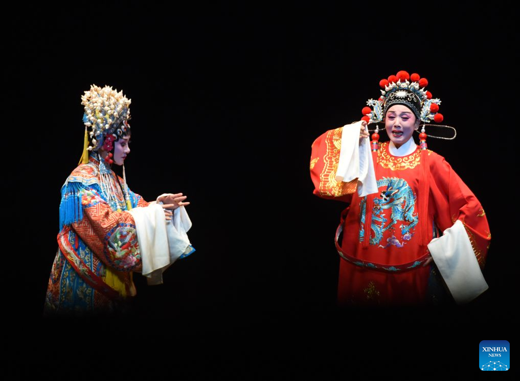 Chinese Huangmei Opera artist Han Zaifen performs in Vienna, Austria