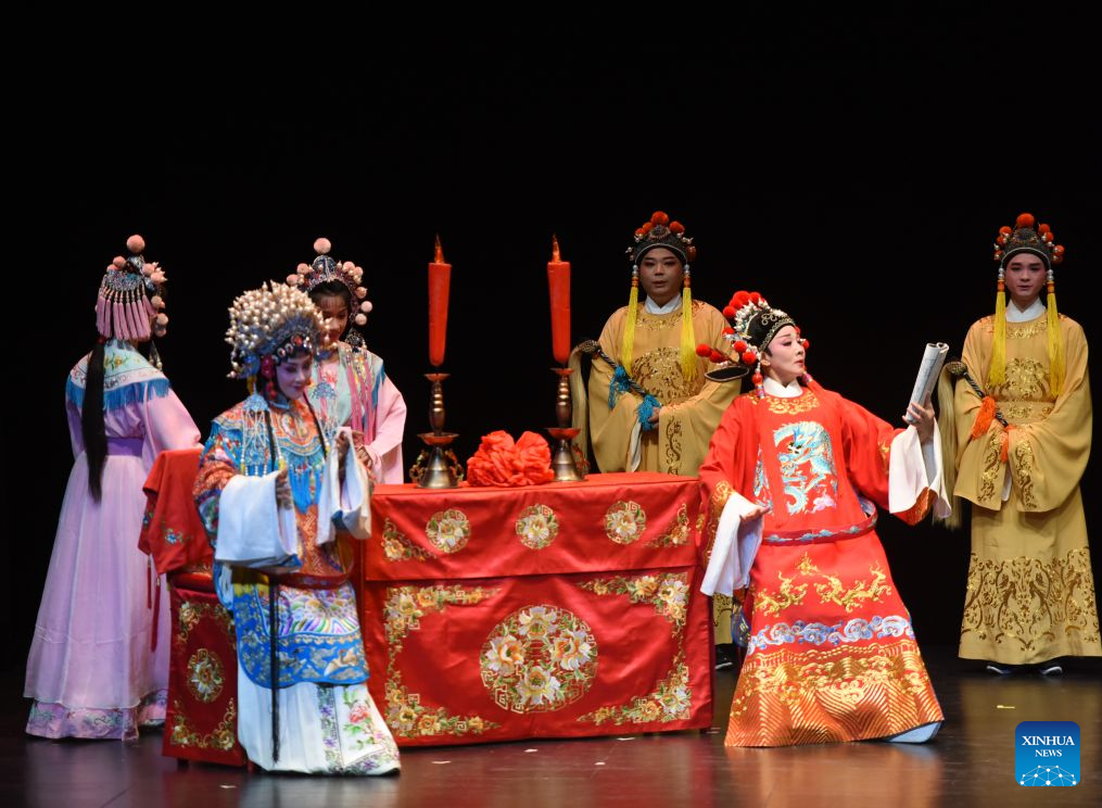 Chinese Huangmei Opera artist Han Zaifen performs in Vienna, Austria