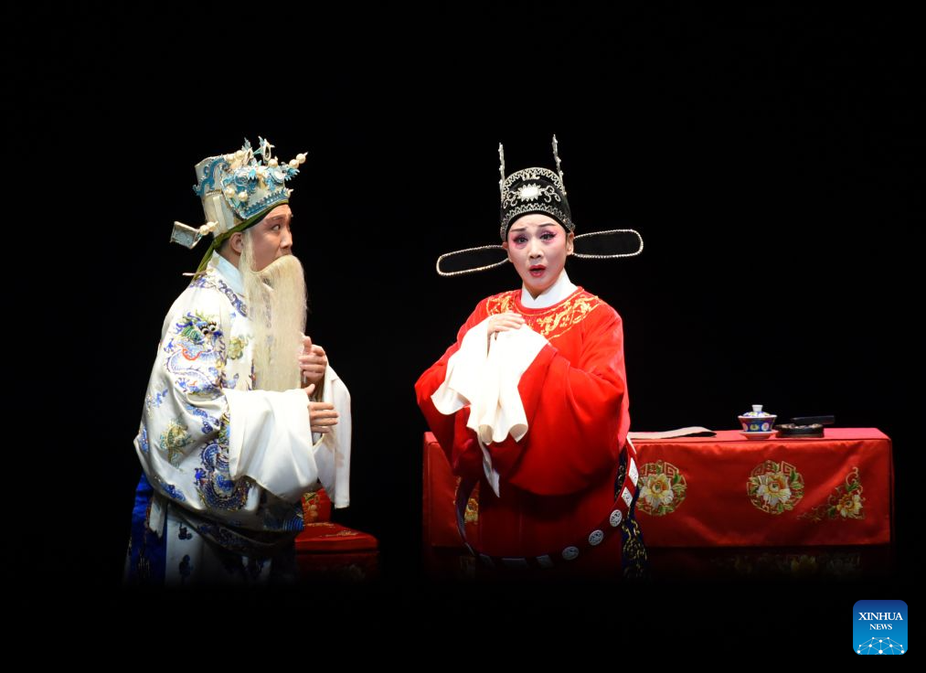 Chinese Huangmei Opera artist Han Zaifen performs in Vienna, Austria