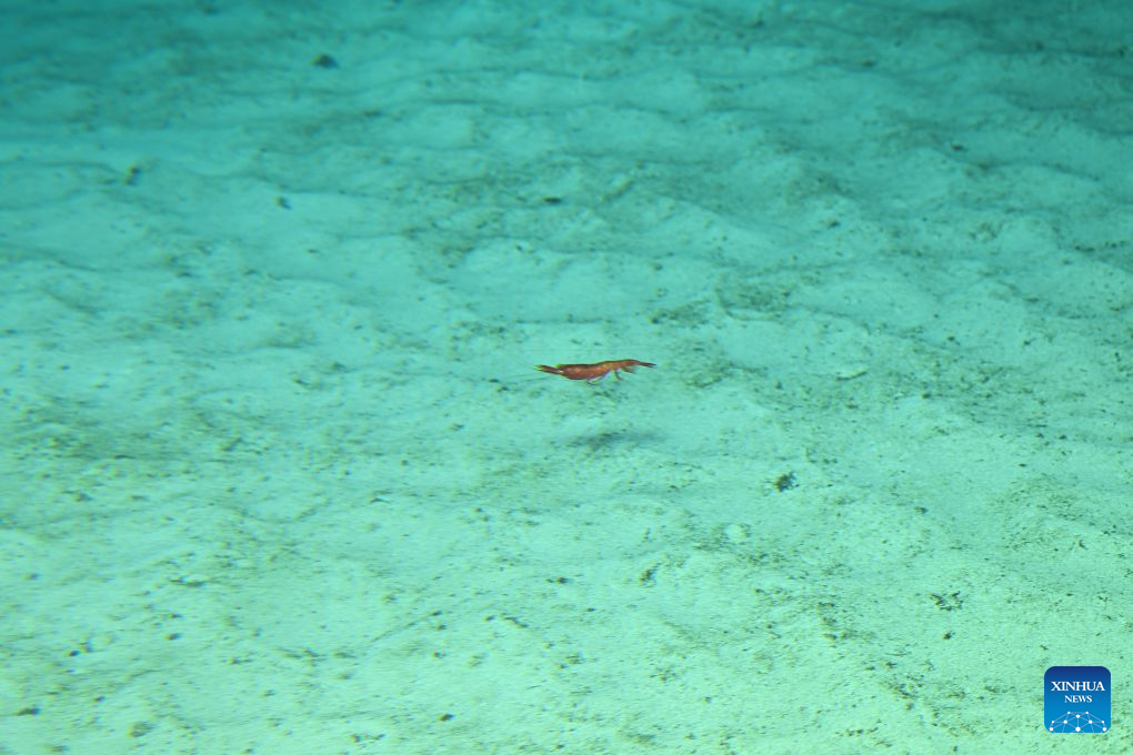 China's manned deep-sea submersible completes 470th dive