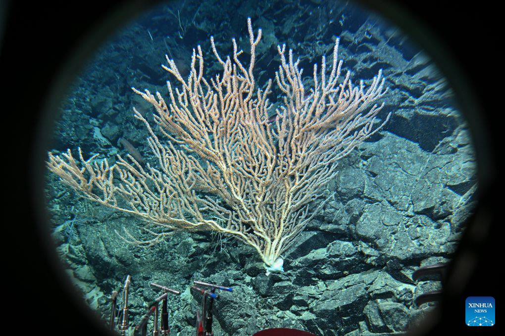 China's manned deep-sea submersible completes 470th dive