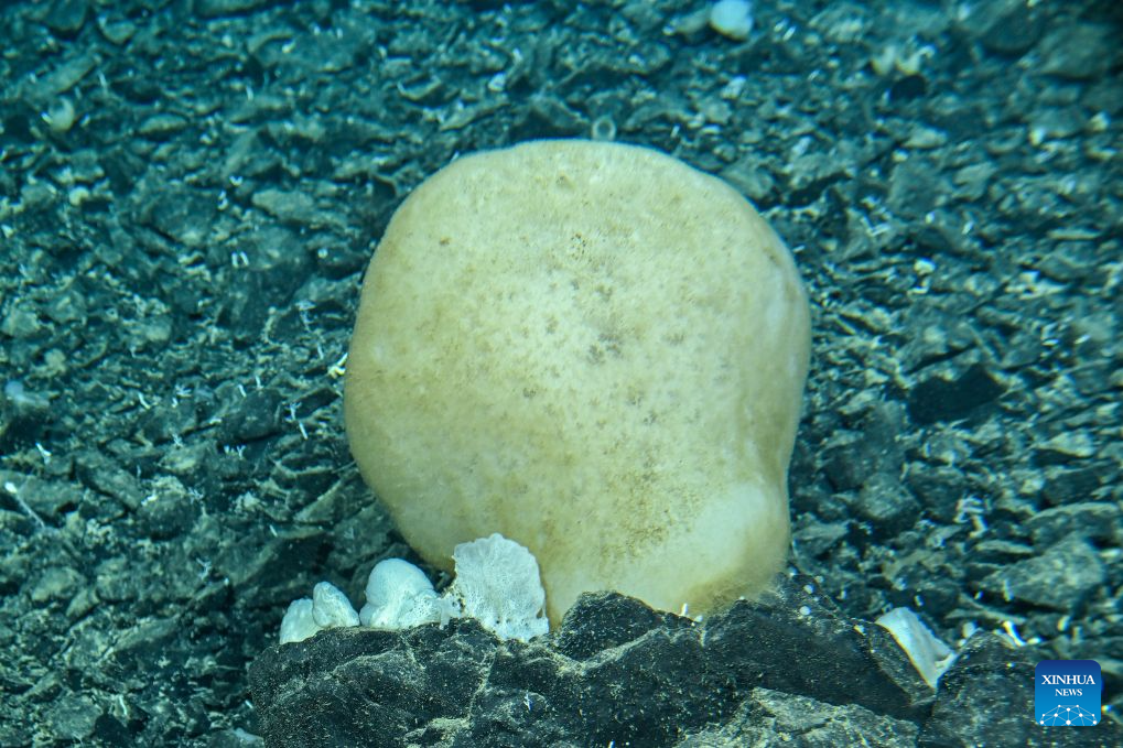 China's manned deep-sea submersible completes 470th dive