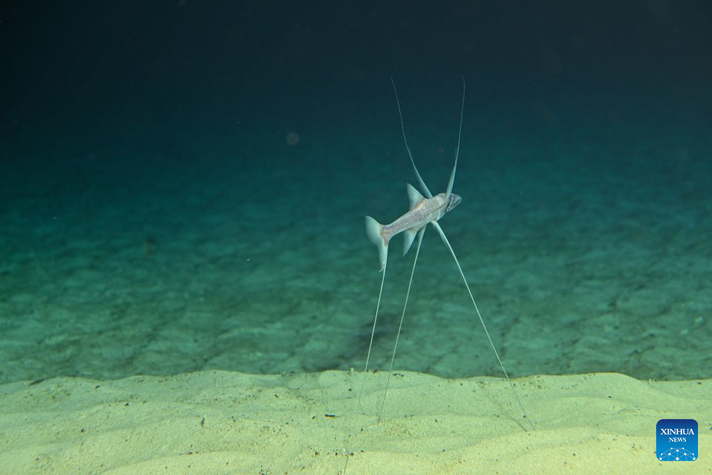 China's manned deep-sea submersible completes 470th dive