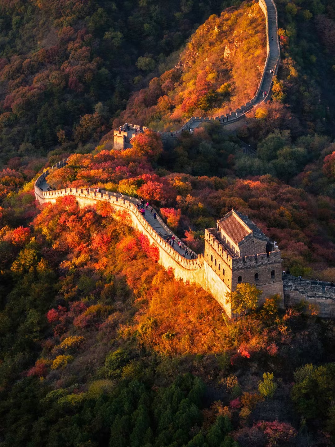 Explore Badaling: Autumn paints the Badaling Great Wall Explore Badaling: Autumn paints the Badaling Great Wall