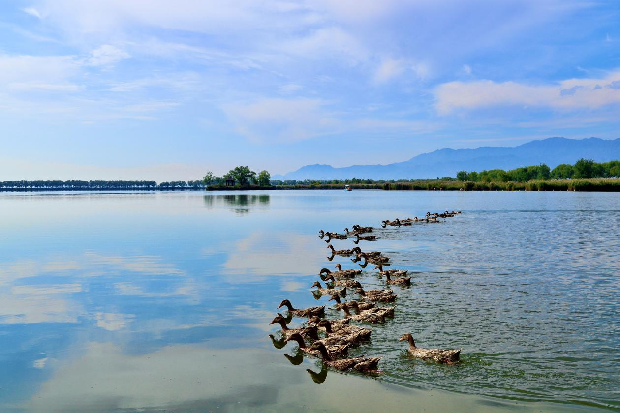 Life At The Great Wall: Birdwatching season arrives Life At The Great Wall: Birdwatching season arrives