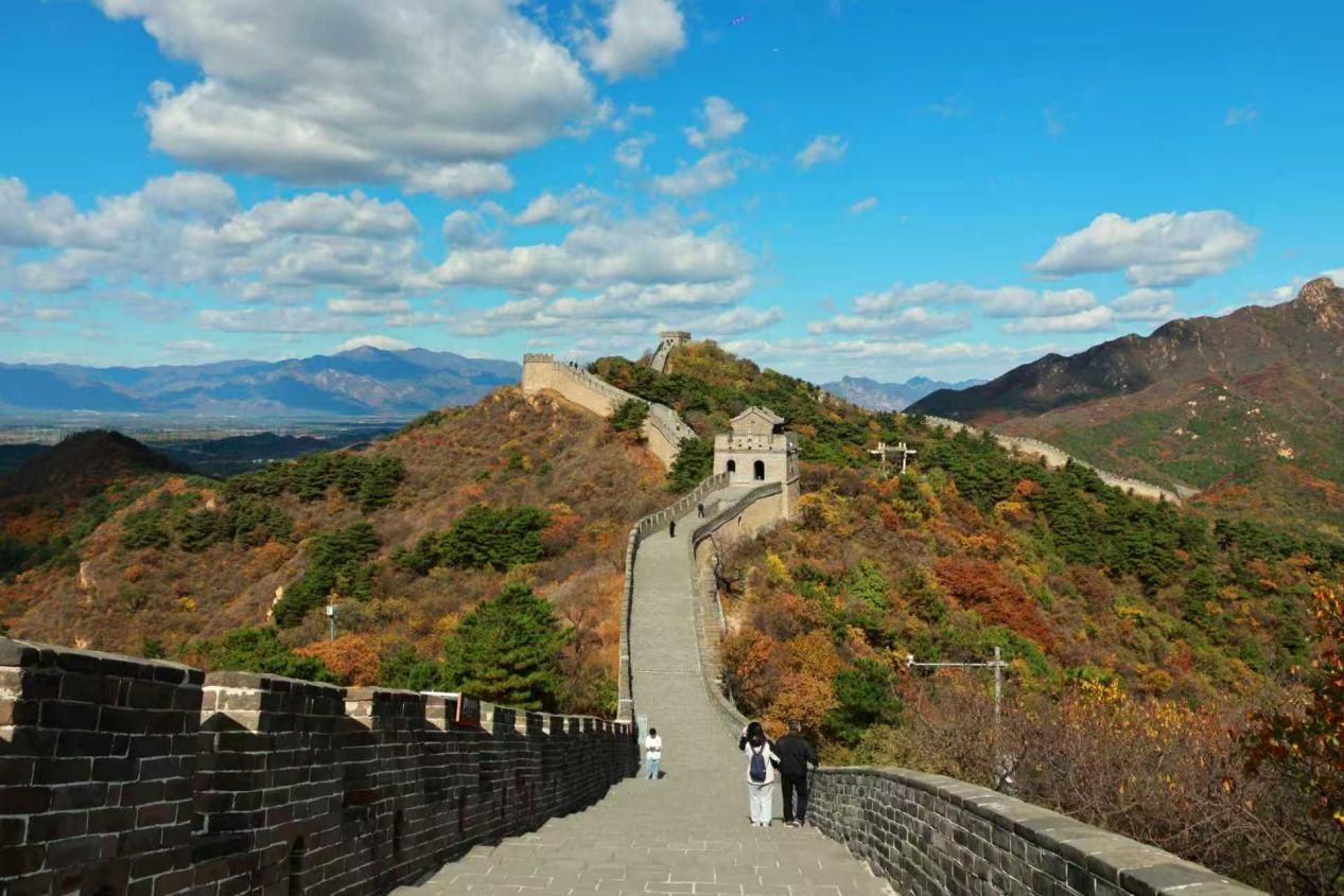 Badaling Updates: Fall foliage is reaching peak Badaling Updates: Fall foliage is reaching peak