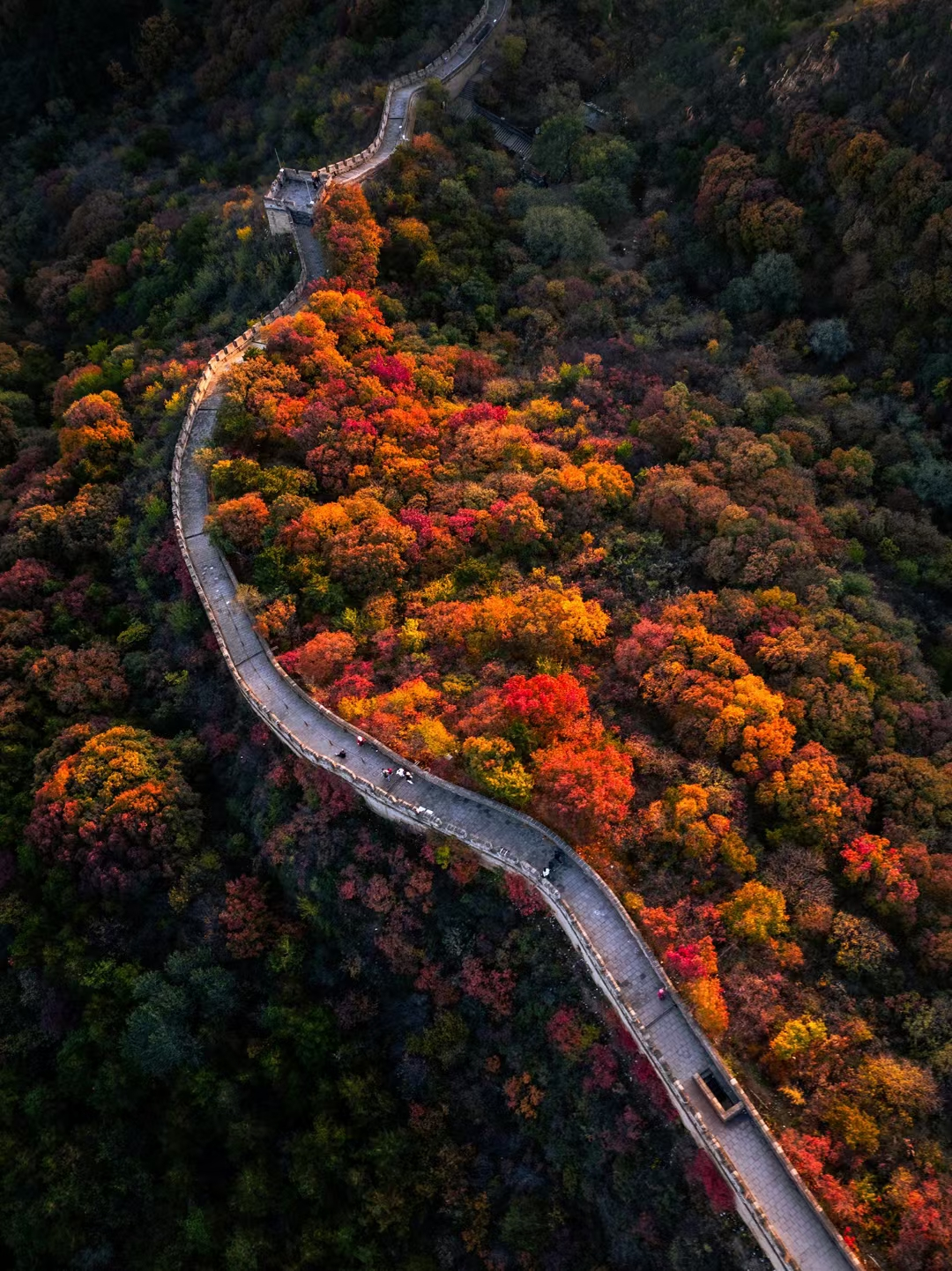 Explore Badaling: Autumn paints the Badaling Great Wall Explore Badaling: Autumn paints the Badaling Great Wall