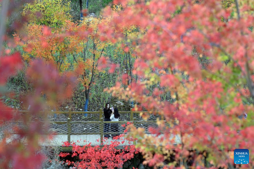 Autumn scenery in NW China's Gansu