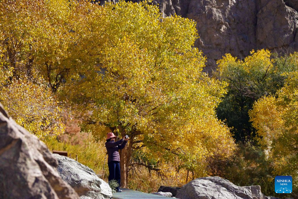 Autumn scenery in NW China's Gansu