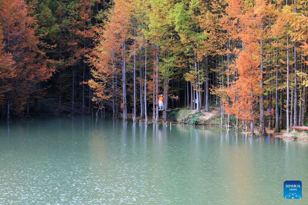 Autumn scenery in NW China's Gansu