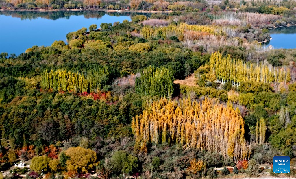 Autumn scenery in NW China's Gansu