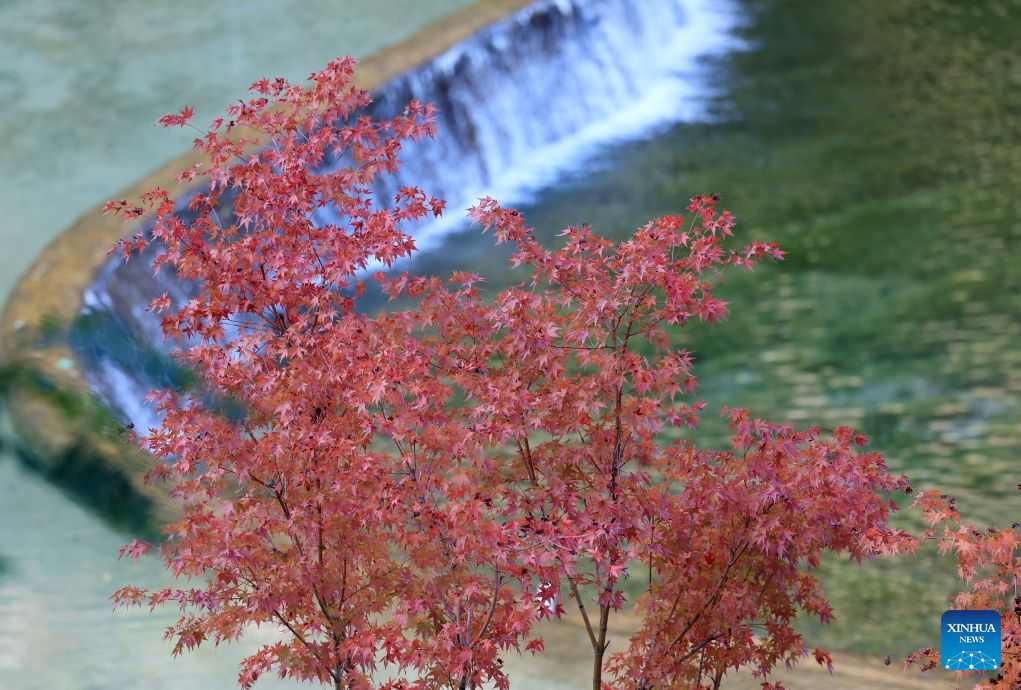 Autumn scenery in NW China's Gansu