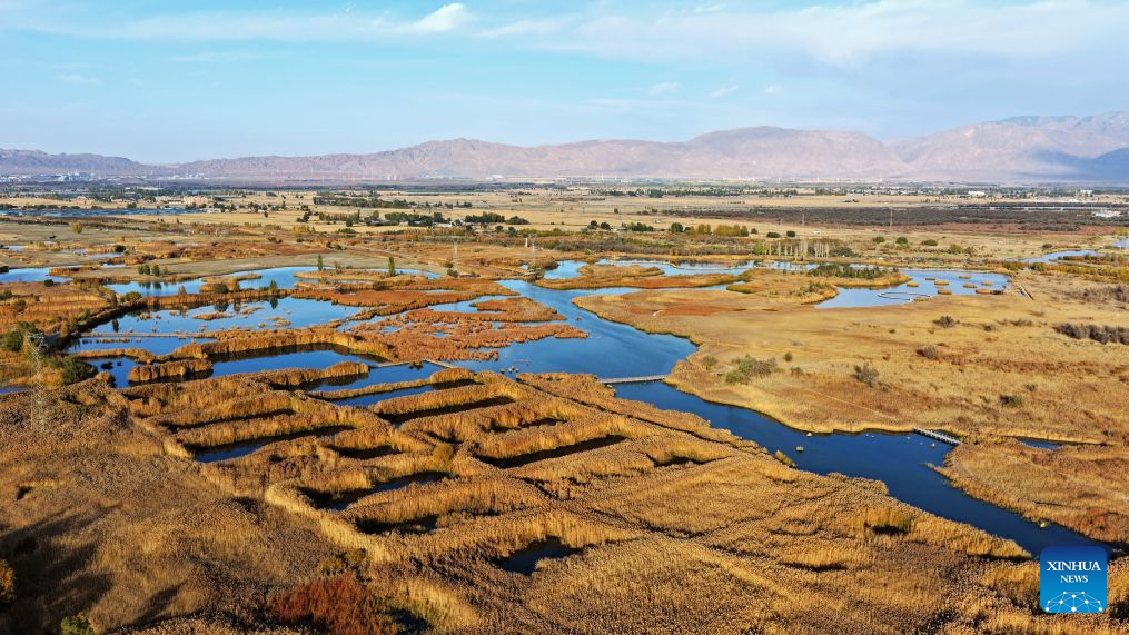 Autumn scenery in NW China's Gansu
