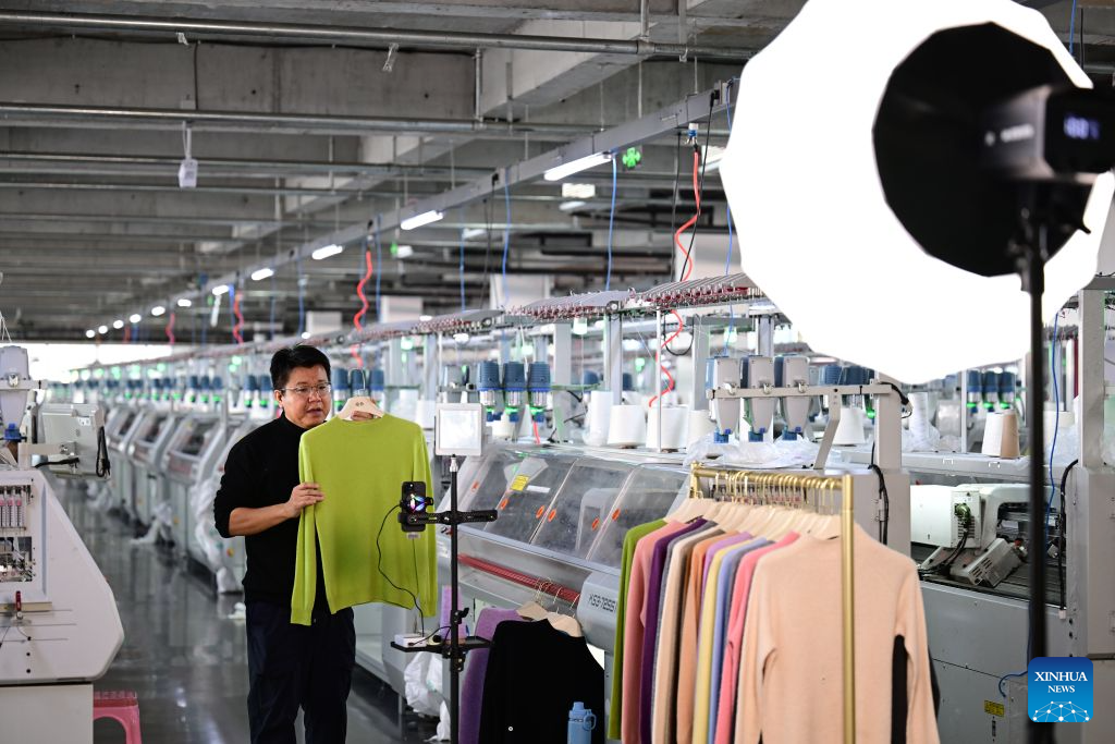 A glimpse of cashmere processing and sales hub in China's Hebei